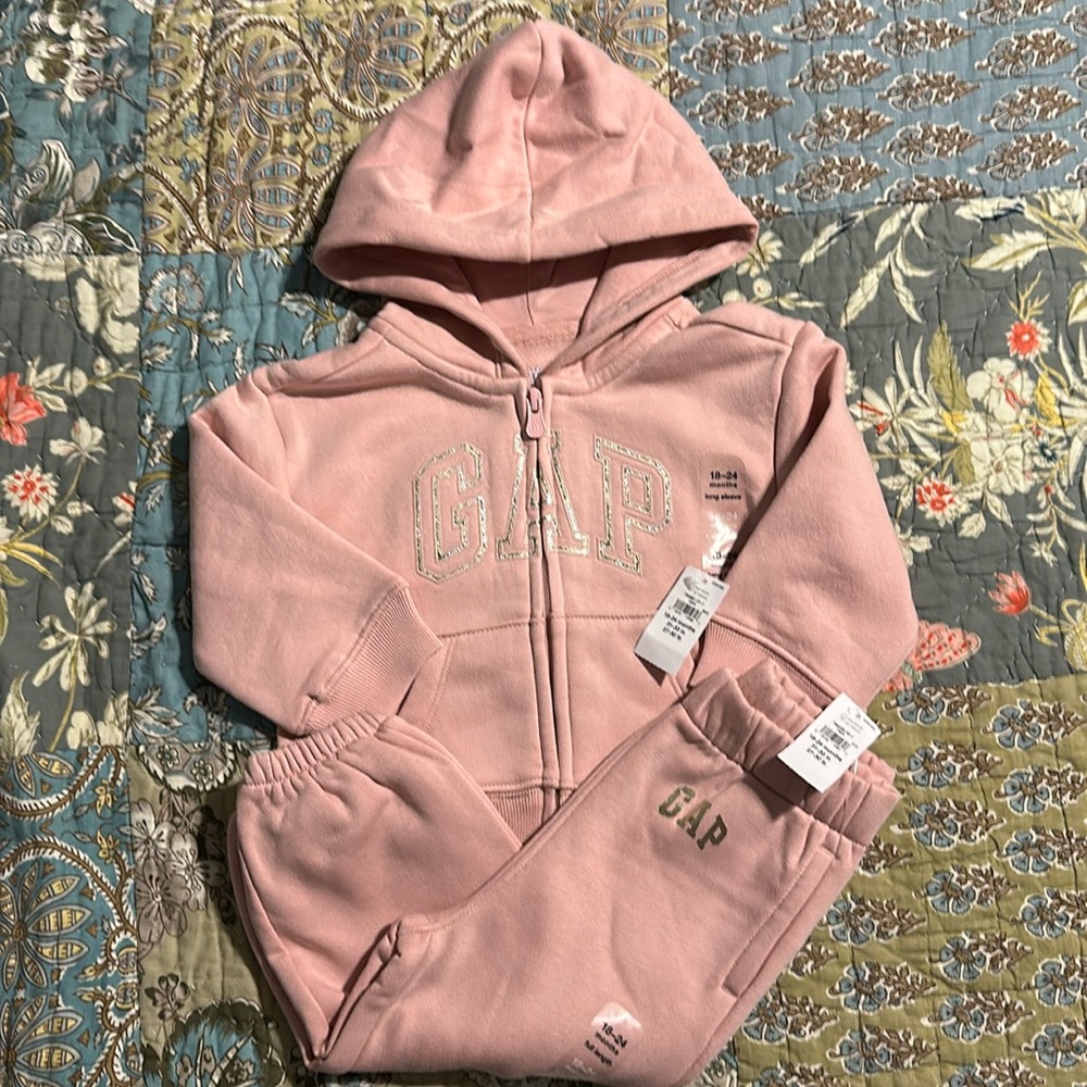 NWT Gap Metallic Logo Hoodie and Joggers